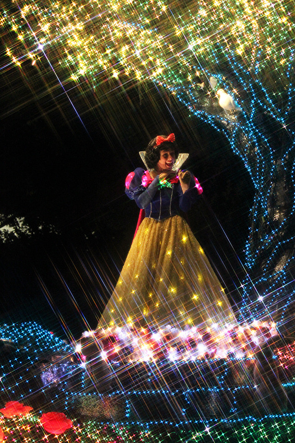 「東京ディズニーランド・エレクトリカルパレード・ドリームライツ」