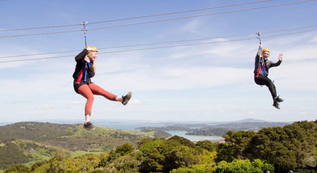 ワイヘキ島ではEcoZipなど、ネイチャーアクテティビティも豊富