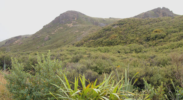 絶景が広がる乗馬ルート