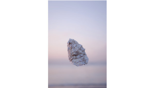 写真展「カキ展 Photography by momoko japan」　展示10作品のうち、3作品はカキ展のオフィシャルサイトにて閲覧可能。