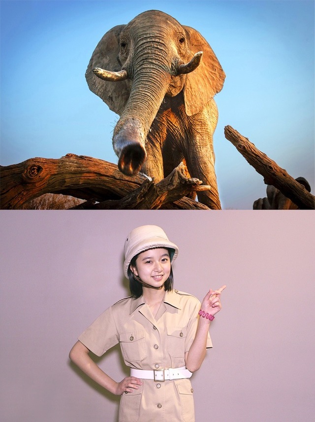 『ネイチャー』探検隊に任命された東宝シンデレラガール・上白石萌歌　-(C)BBC Earth Productions (Africa) Limited and Reliance Prodco EK LLC 2014