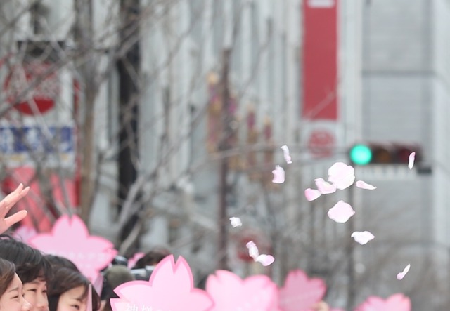 春一番に舞った桜の花びら