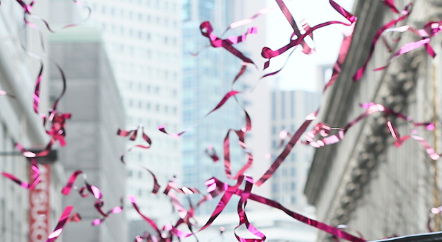 春一番に舞った桜シャワー