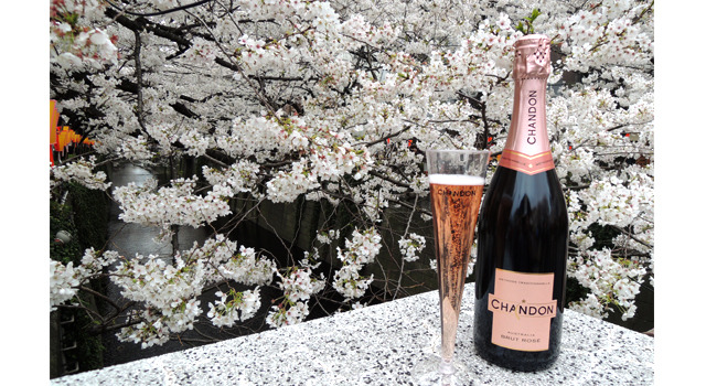 「お花見CHANDON 目黒川」4月後半まで中目黒界隈で開催中
