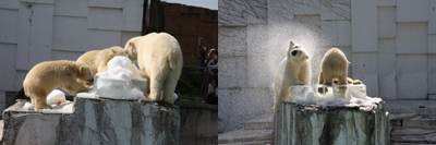 札幌市円山動物園