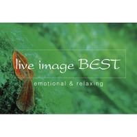 7年ぶりに復活する「ライブイマージュ・コンサート」に、REAL TRAUM、Budo、石井琢磨がオープニングアクトとして出演決定！