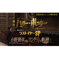 特別番組「舞台『ハリー・ポッターと呪いの子』ラストイヤーSP 小野賢章と辿るロングランの軌跡」 TBS 2月14日(土)16:30～放送決定&体験型イベント「ホグワーツ・シアター・ツアー」開催決定！