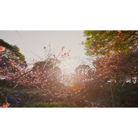 かつての共演から、文化の継承へ北村匠海 監督 × 黒島結菜 ナレーション「沖縄のことば」を次世代に繋ぐBe. Okinawa2025 冬の沖縄「ユイマール」篇 ブランドムービー公開