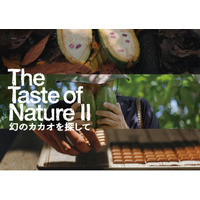 【最優秀作品受賞】 チョコレートハンター安達建之作品「The Taste of Nature II 幻のカカオを探して」DocuVision International Film Festival‘26