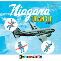 ご好評につき、4／４(土) 追加上映決定！ 『大滝詠一ナイアガラ50周年スペシャル　～劇場初公開！激レア上映＆トークショー～』　開催！