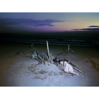 長谷川億名監督 最新SF映画『コスモ・コルプス』の予告篇公開＆応援コメント発表！