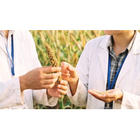 研究と現場をつなぐ人材が求められる時代へ ― 雑穀エキスパート講座が提供する“社会実装の視点”とは ―