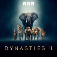 覇権争い、生存競争、裏切り、再生…動物一族の「王国」存亡に迫ったBBCのネイチャードキュメンタリー第2弾「BBC超大作 動物王国記 シーズン2」5月8日(金)22時よりアニマルプラネットにて放送開始