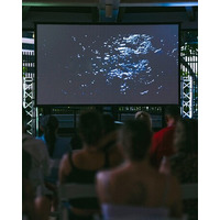 プリンス ワイキキ、この夏を彩る3つの特別企画！映画、星空体験、ライブミュージックを軸とした3つの特別企画を展開いたします。